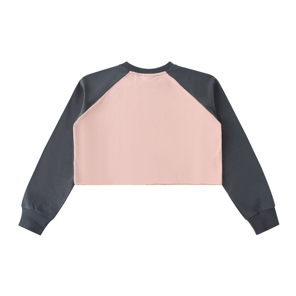 AV Colour Block Raglan Crop Sweatshirt