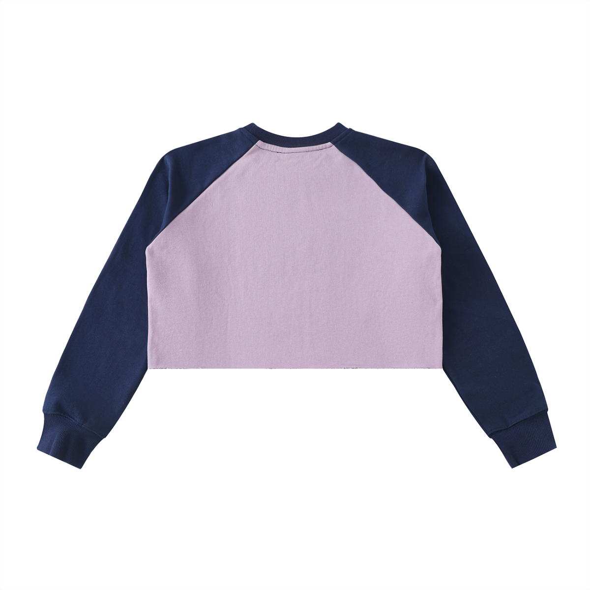 AV Colour Block Raglan Crop Sweatshirt