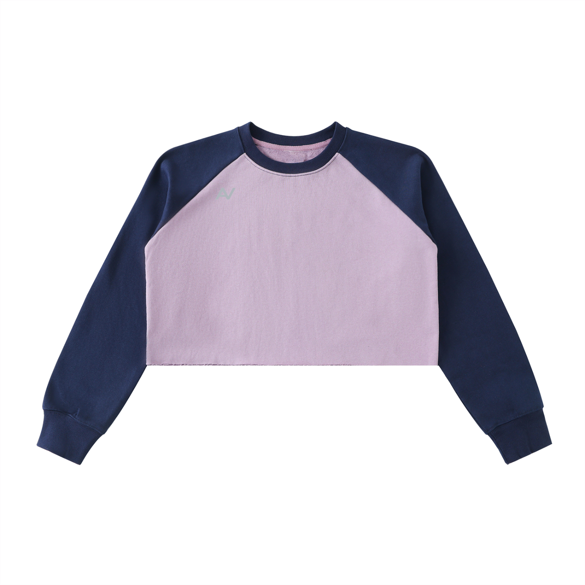 AV Colour Block Raglan Crop Sweatshirt