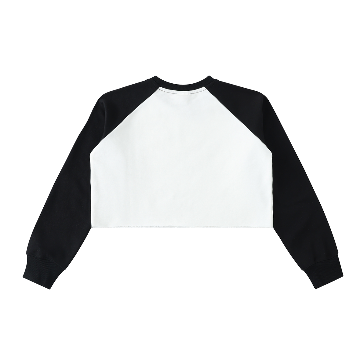 AV Colour Block Raglan Crop Sweatshirt